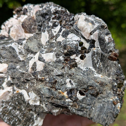 2.43kg Fluororichterite & Calcite - George Earle Farm, Wilberforce, Ontario - Rare Canadian Amphibole Mineral Specimen