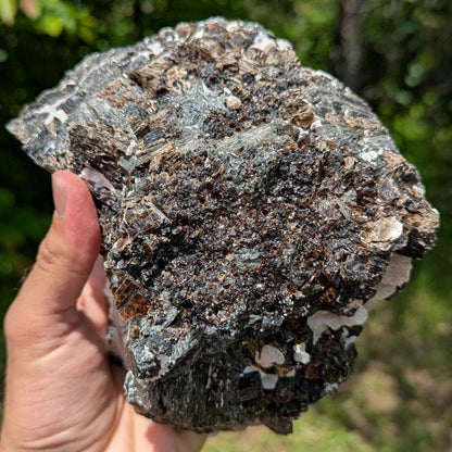 2.43kg Fluororichterite & Calcite - George Earle Farm, Wilberforce, Ontario - Rare Canadian Amphibole Mineral Specimen