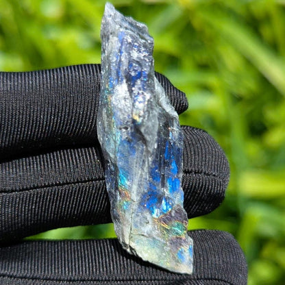 16g Blue Flash Canadian Labradorite - Tabor Island, Nain, Labrador, Canada - One Side Cut Rough Specimen - The Original Labradorite