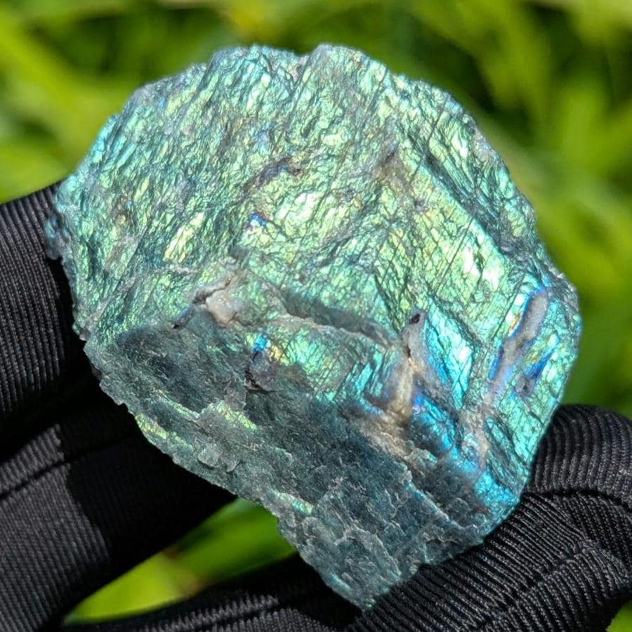 65g Rare Green Flash Canadian Labradorite - Tabor Island, Nain, Labrador, Canada - Rough Specimen - The Original Labradorite