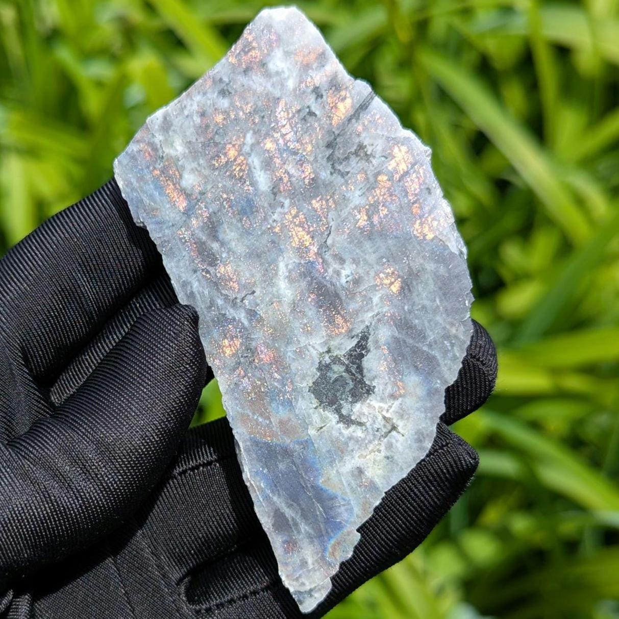 60g Blue Flash Canadian Labradorite Slab - Tabor Island, Nain, Labrador, Canada - Rough Labradorite Slice - The Original Labradorite