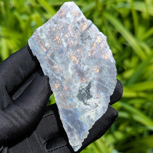 60g Blue Flash Canadian Labradorite Slab - Tabor Island, Nain, Labrador, Canada - Rough Labradorite Slice - The Original Labradorite