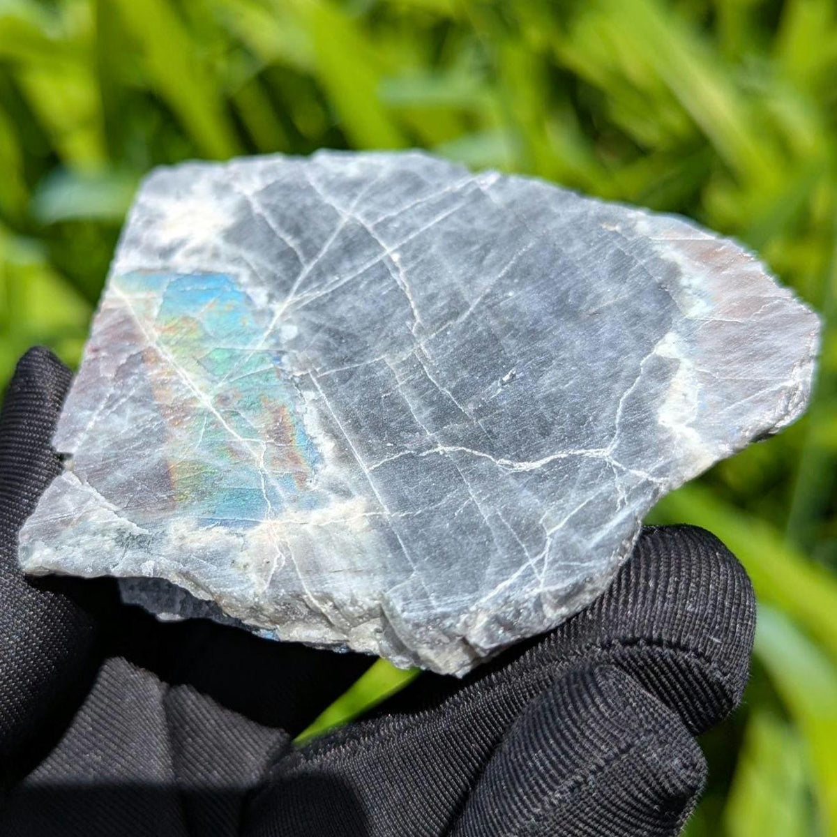 181g Canadian Labradorite Slab - Tabor Island, Nain, Labrador, Canada - Rough Specimen - The Original Labradorite