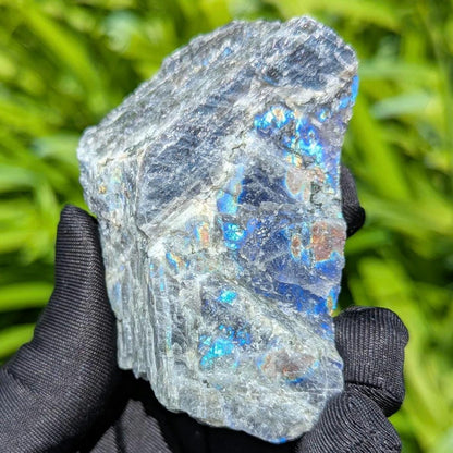 181g Blue Flash Canadian Labradorite - Tabor Island, Nain, Labrador, Canada - Rough Specimen - The Original Labradorite