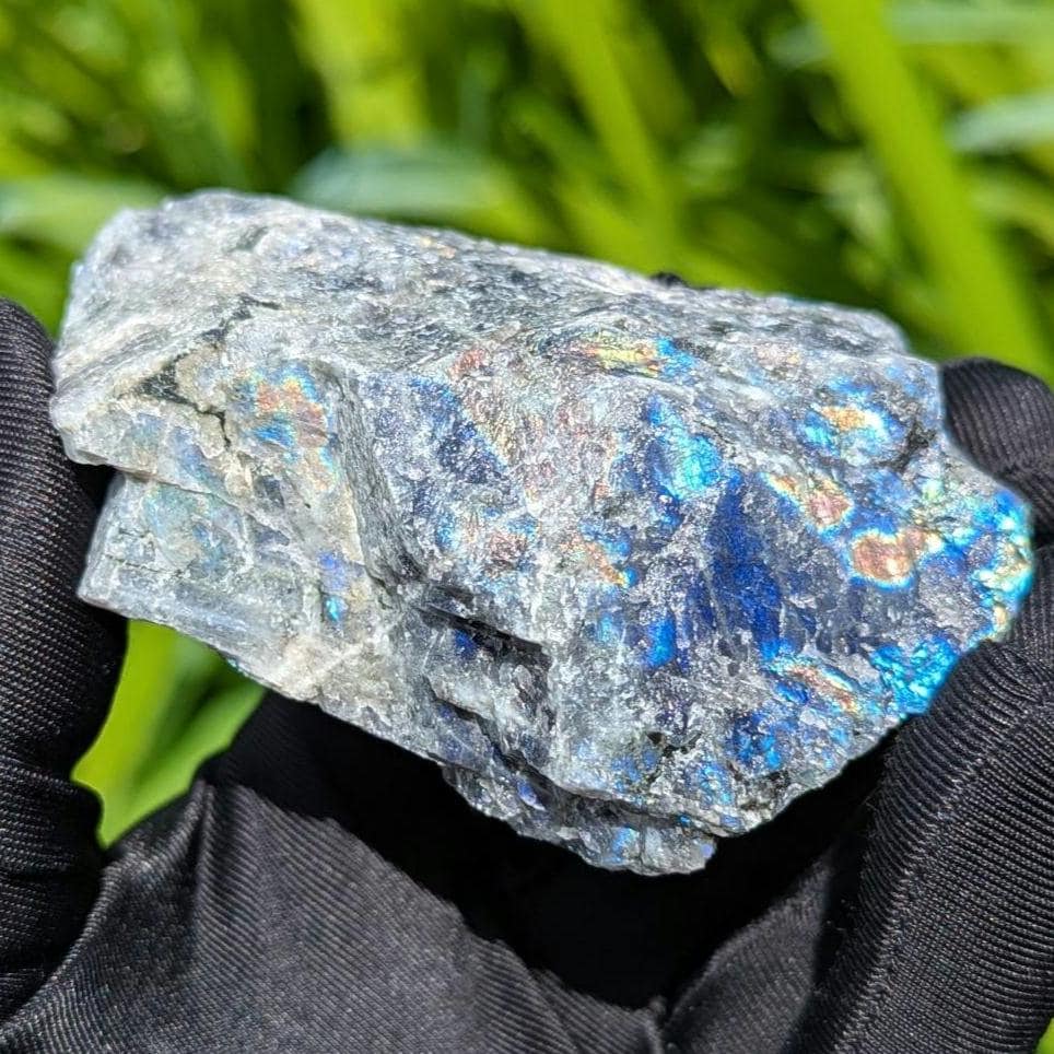 181g Blue Flash Canadian Labradorite - Tabor Island, Nain, Labrador, Canada - Rough Specimen - The Original Labradorite