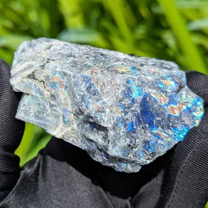 181g Blue Flash Canadian Labradorite - Tabor Island, Nain, Labrador, Canada - Rough Specimen - The Original Labradorite
