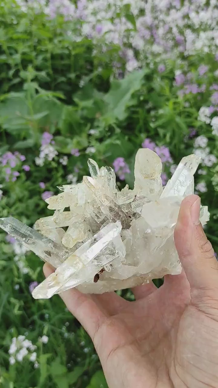 643g Clear Quartz Crystal Cluster from Colombia - Untreated Quartz Point Cluster