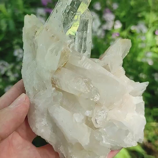 295g Clear Quartz Crystal Cluster from Colombia - Untreated Quartz Point Cluster