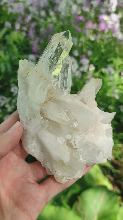 295g Clear Quartz Crystal Cluster from Colombia - Untreated Quartz Point Cluster