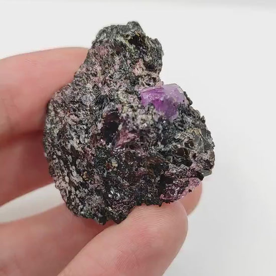 42.56g Sapphire in Pyrope Garnet and Biotite Matrix - Zazafotsy, Madagascar