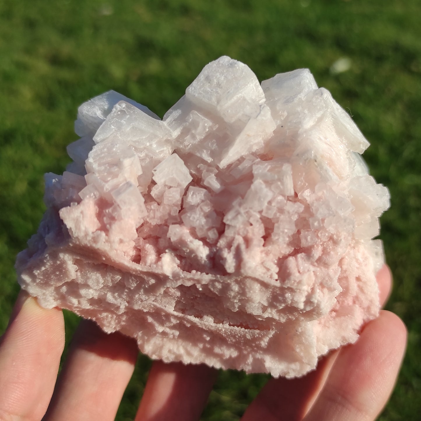 234g Pink Halite Salt from California