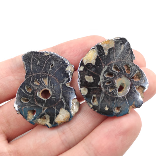 Paire de fossiles d'ammonite 21g