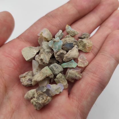 63.90ct Rough Opal Lot - Ethiopian Opals - Raw Uncut Opals - Natural Opal Gemstone Lot - Loose Gems - Rough Gemstones - Flashy Opal Lot