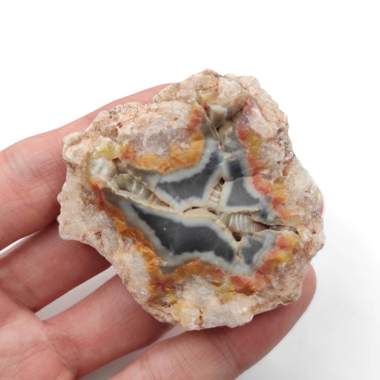 66g Patagonia Agate - Polished Agate Geode from Patagonia, Argentina - Natural Agate Specimen - Neuquén, Argentina - Hand Polished Geode