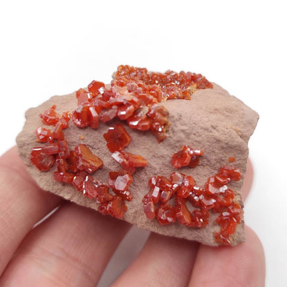 41g Vanadinite on Matrix - Red Vanadinite Crystals - High Quality Vanadinite - Collectors Grade Mineral Specimen - Mibladen, Morocco
