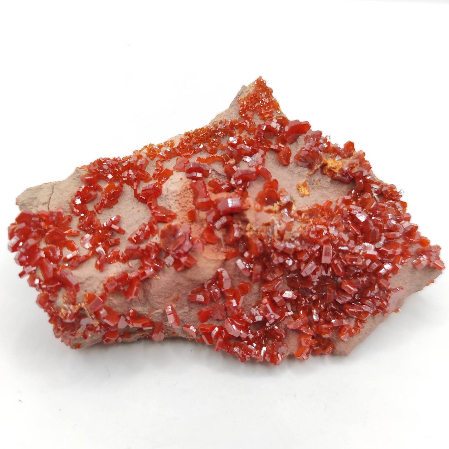 104g Vanadinite on Matrix - Red Vanadinite Crystals - High Quality Vanadinite - Collectors Grade Mineral Specimen - Mibladen, Morocco