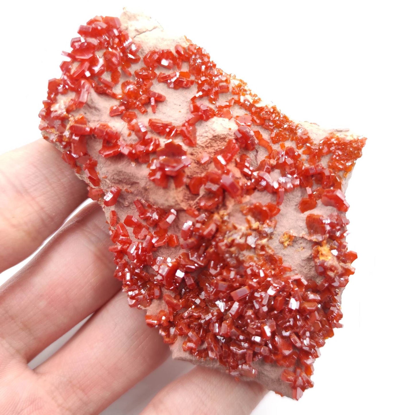104g Vanadinite on Matrix - Red Vanadinite Crystals - High Quality Vanadinite - Collectors Grade Mineral Specimen - Mibladen, Morocco