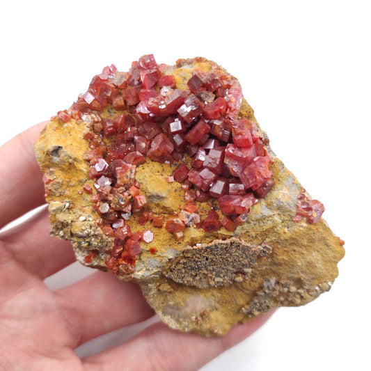 142g Large Vanadinite on Matrix - Red Vanadinite Crystals - High Quality Vanadinite - Collectors Grade Mineral Specimen - Mibladen, Morocco