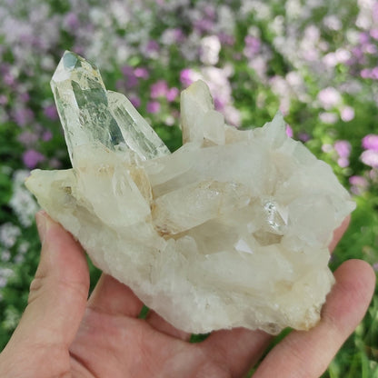 295g Clear Quartz Crystal Cluster from Colombia - Untreated Quartz Point Cluster -  Mineral Specimen - White Quartz Crystal - Clear Quartz