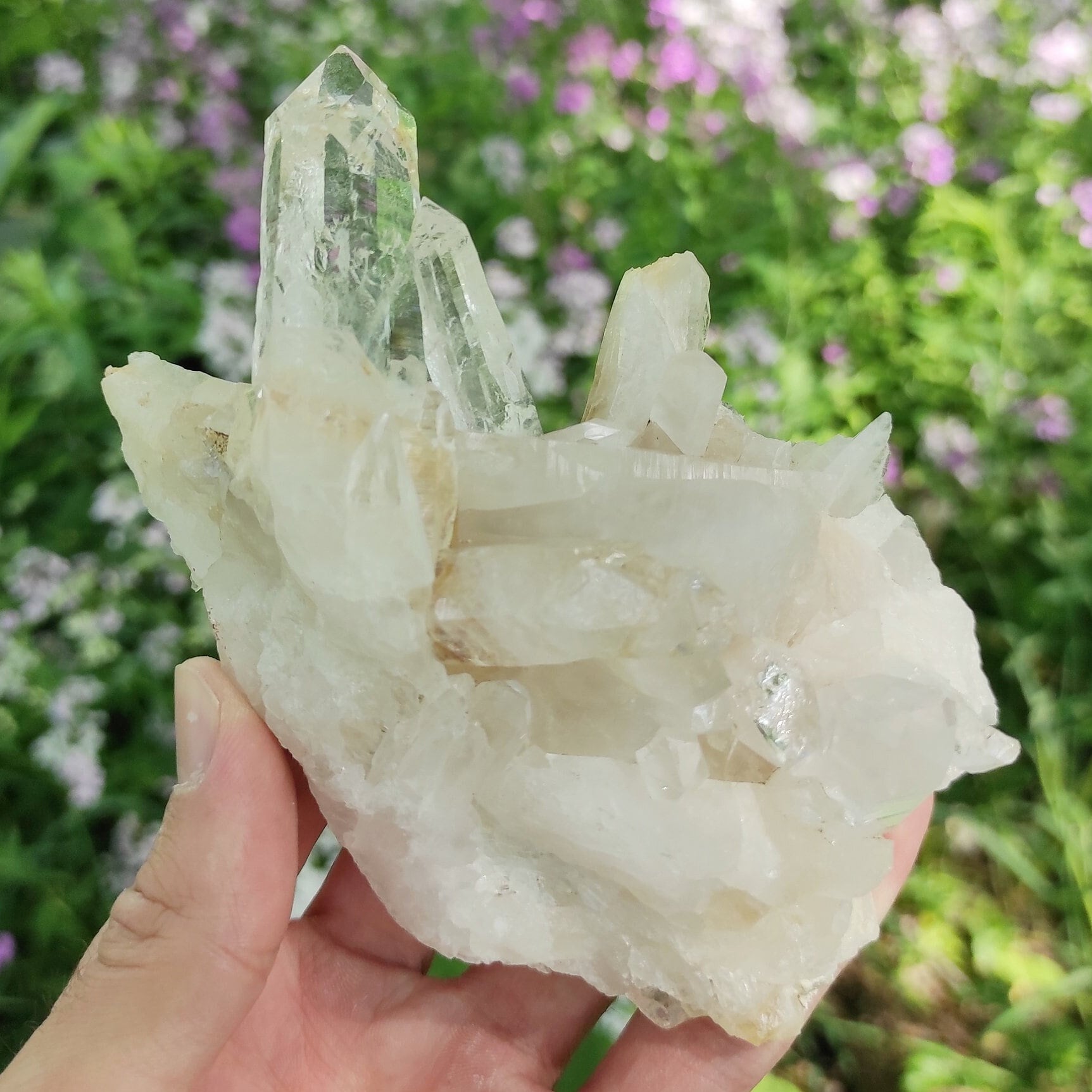 295g Clear Quartz Crystal Cluster from Colombia - Untreated Quartz Point Cluster -  Mineral Specimen - White Quartz Crystal - Clear Quartz