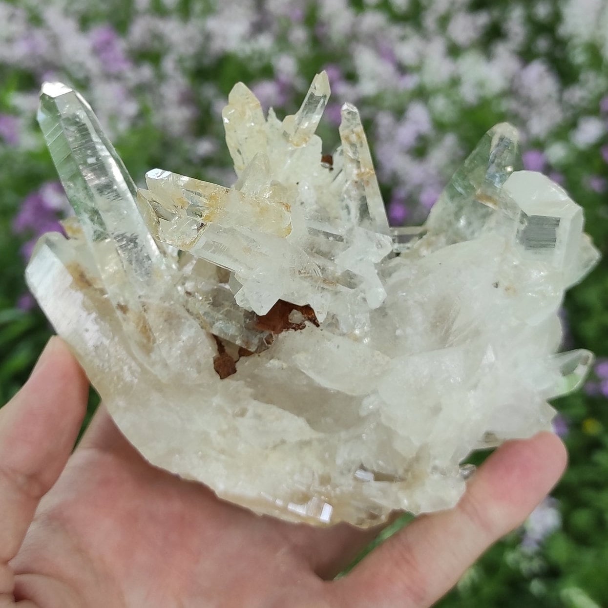 643g Clear Quartz Crystal Cluster from Colombia - Untreated Quartz Point Cluster -  Mineral Specimen - White Quartz Crystal - Clear Quartz