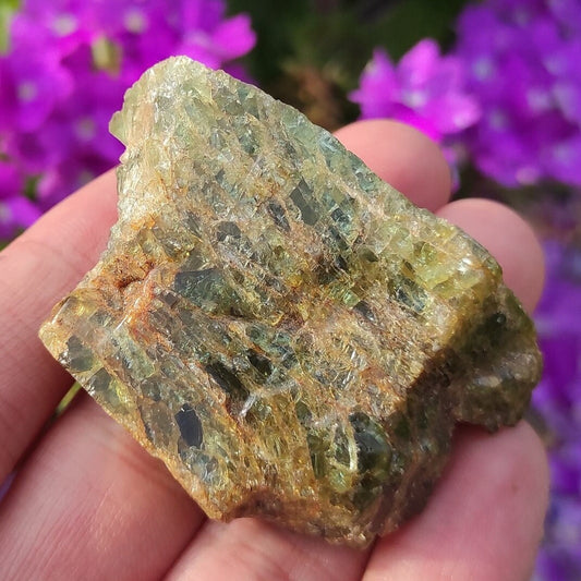51g Green Apatite from Tory Hill, Ontario, Canada - Green Fluoroapatite Crystal - Raw Apatite Mineral Specimen - Titanite Hill Occurence