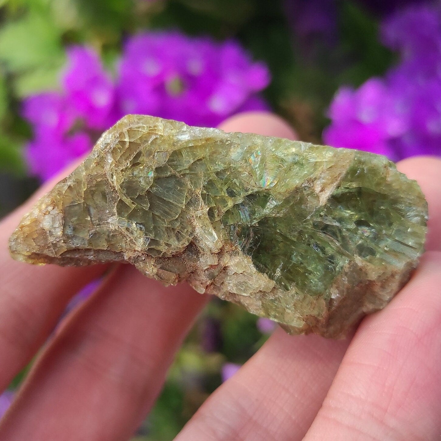 51g Green Apatite from Tory Hill, Ontario, Canada - Green Fluoroapatite Crystal - Raw Apatite Mineral Specimen - Titanite Hill Occurence