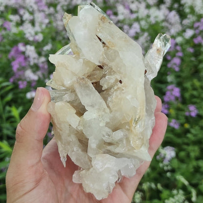 643g Clear Quartz Crystal Cluster from Colombia - Untreated Quartz Point Cluster -  Mineral Specimen - White Quartz Crystal - Clear Quartz
