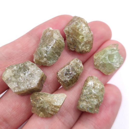 106ct Green Apatite Lot from Tory Hill, Ontario, Canada - Green Fluoroapatite Crystal - Raw Apatite Mineral - Titanite Hill Occurence