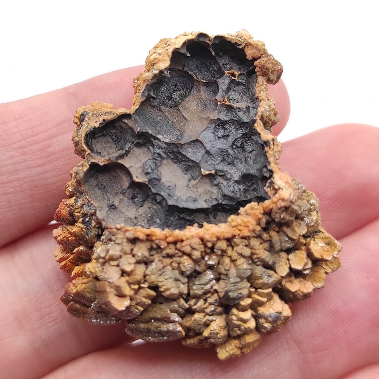 32g Vanadinite var. Endlichite - New Variety Find (April 2023) - Vanadinite Mineral Specimen from Mibladen, Morocco - Coud'a Workings