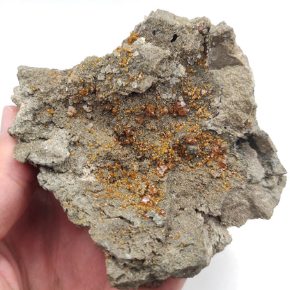 327g Sphalerite in Matrix - Dundas Quarry, Ontario - Orange Sphalerite from Dundas, Ontario, Canada - Old Specimen - Mineral Specimen