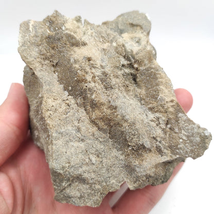 327g Sphalerite in Matrix - Dundas Quarry, Ontario - Orange Sphalerite from Dundas, Ontario, Canada - Old Specimen - Mineral Specimen