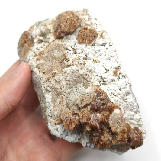 489g Garnet Mineral Specimen