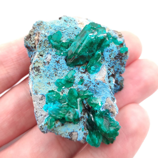 30g Dioptase in Chrysocolla from Sanda, Mindouli, Congo | Vibrant Mineral Specimen