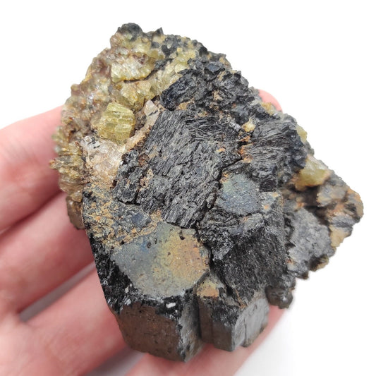 171g Green Apatite in Hornblende - Tory Hill, Ontario, Canada - Apatite in Matrix - Hornblende Mineral Specimen - Raw Crystal Specimens