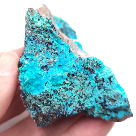 118g Chrysocolla on Matrix - Tyrone, New Mexico - Rough Chrysocolla from United States - Natural Chrysocolla Mineral Specimen - Raw Crystals