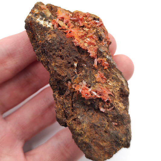 69g Crocoite Specimen from Australia - Orange Crocoite Mineral Specimen - Raw Crocoite Crystal - Rare Minerals - Tasmania, Australia