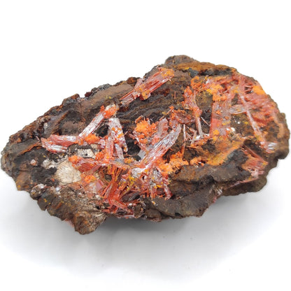 84g Crocoite Specimen from Australia - Orange Crocoite Mineral Specimen - Raw Crocoite Crystal - Rare Minerals - Tasmania, Australia