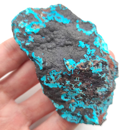125g Chrysocolla on Matrix - Tyrone, New Mexico - Rough Chrysocolla from United States - Natural Chrysocolla Mineral Specimen - Raw Crystals