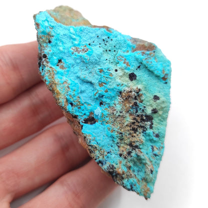 96g Chrysocolla on Matrix - Tyrone, New Mexico - Rough Chrysocolla from United States - Natural Chrysocolla Mineral Specimen - Raw Crystals